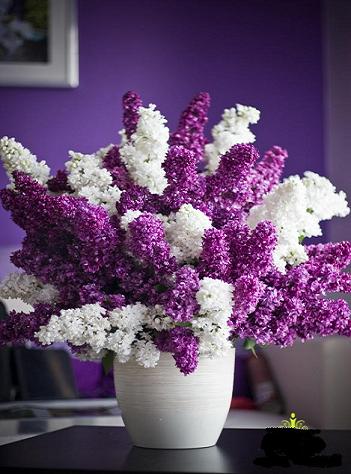 Imagine atasata: monthly_06_2012/post-780-13393453214954.jpg