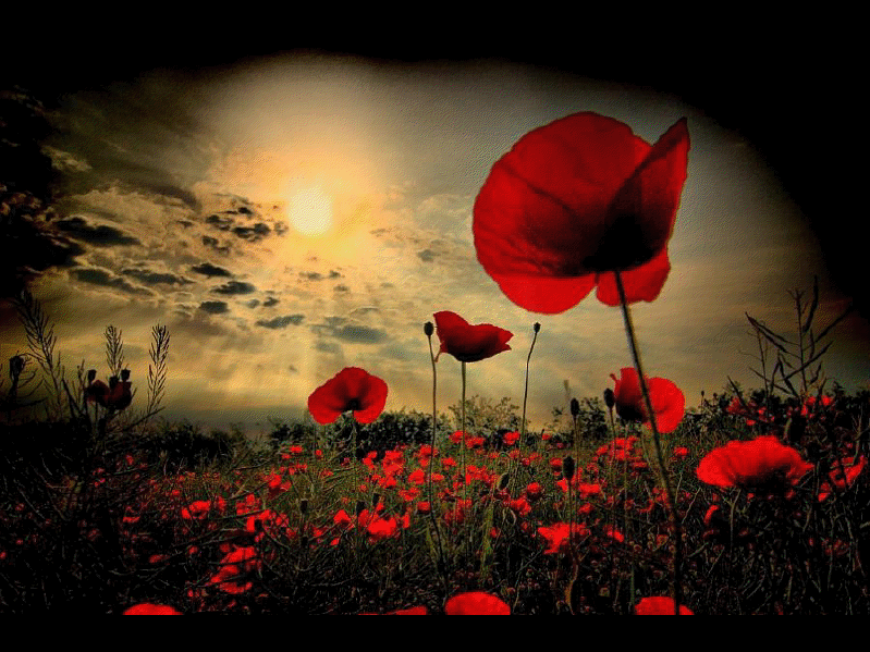 Imagine atasata: monthly_06_2012/post-88-13402612813777.png