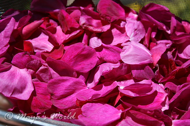 Imagine atasata: monthly_06_2013/post-5-13712062063451.jpg