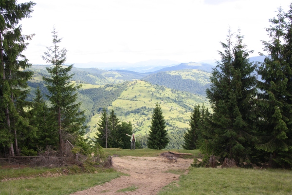 Imagine atasata: monthly_06_2014/post-184-14033613382573.jpg