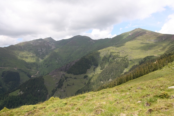 Imagine atasata: monthly_06_2014/post-184-14033613696215.jpg