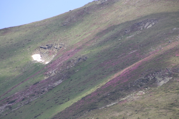 Imagine atasata: monthly_06_2014/post-184-14033613993982.jpg