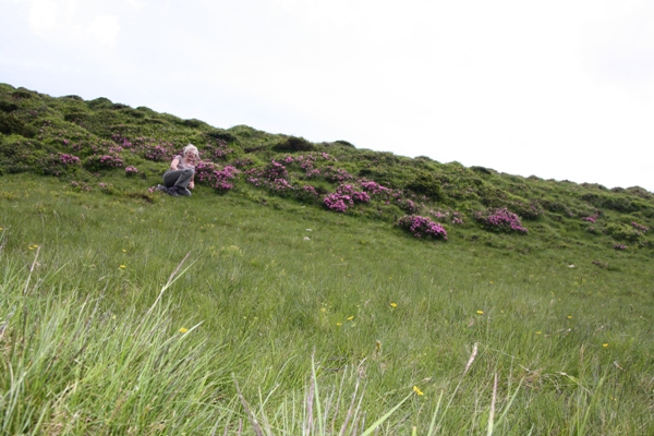 Imagine atasata: monthly_06_2014/post-184-14033614356922.jpg