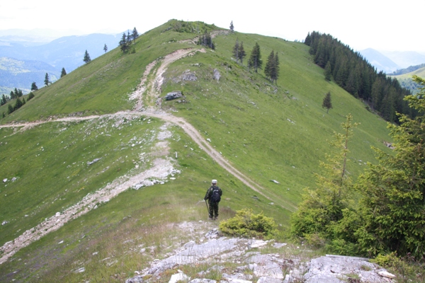 Imagine atasata: monthly_06_2014/post-184-14033614624135.jpg