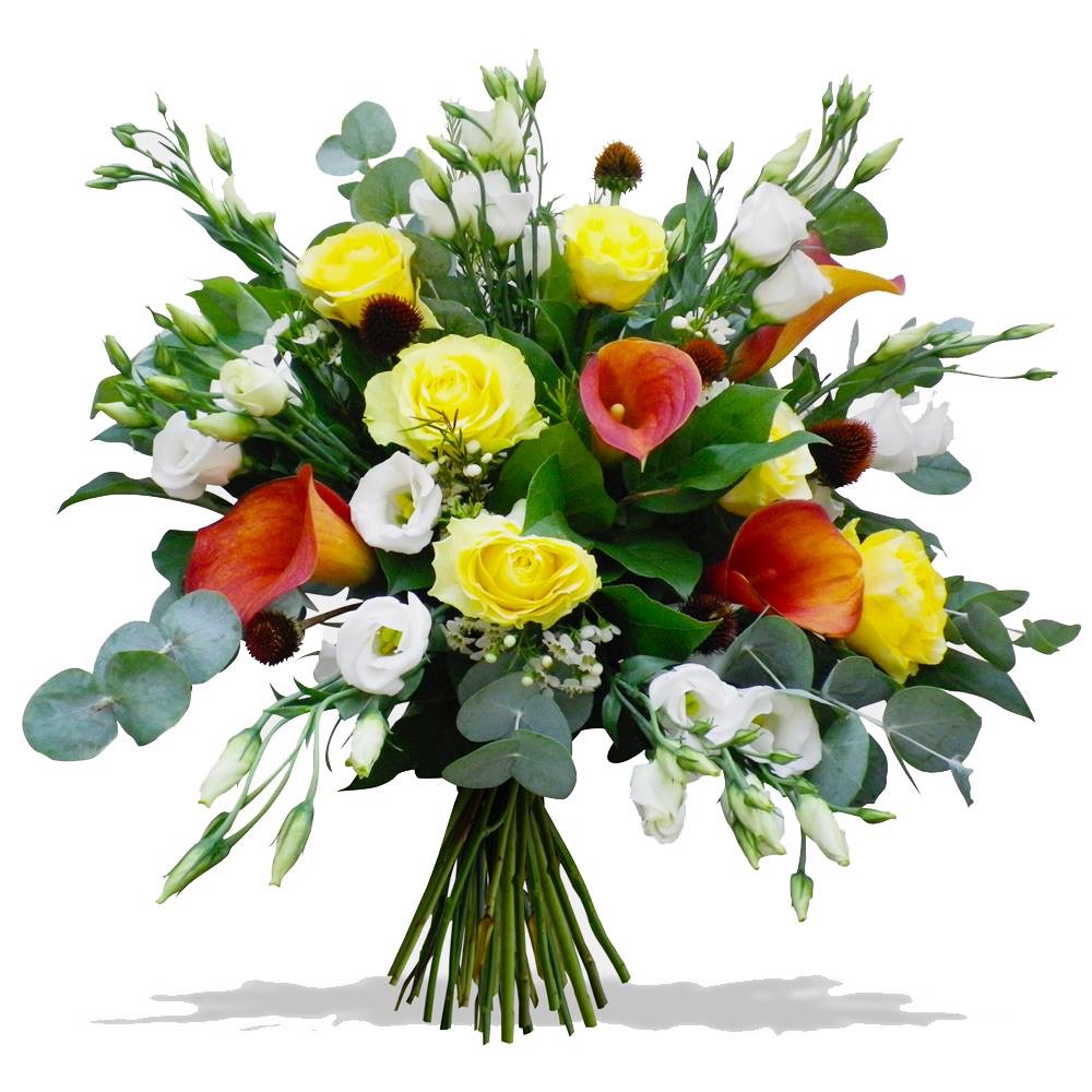 Imagine atasata: monthly_06_2016/post-685-14665664236714.jpeg