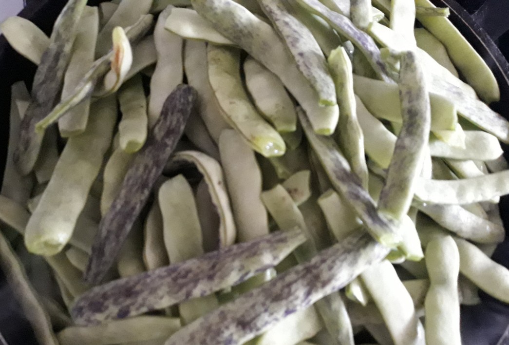 Imagine atasata: monthly_06_2019/post-343-0-32303600-1561107366.jpg