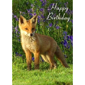 Imagine atasata: monthly_07_2010/post-212-128049140046.jpg