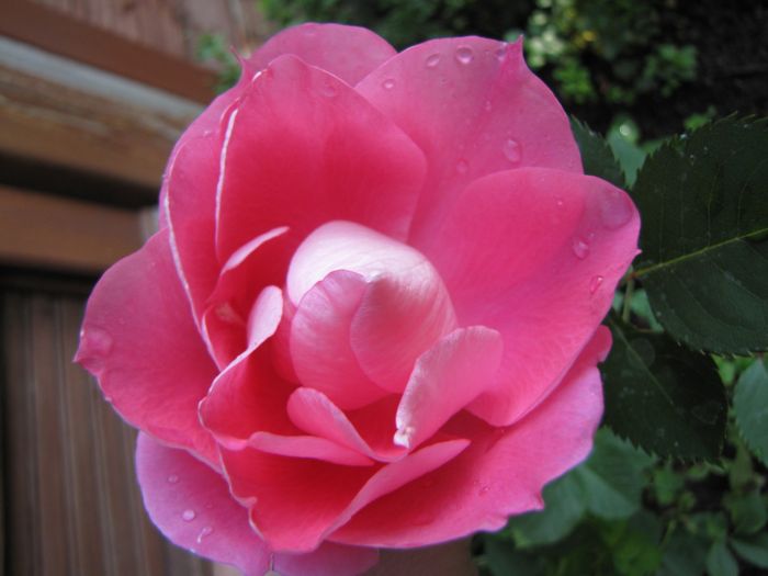 Imagine atasata: monthly_07_2010/post-479-128038927683.jpg