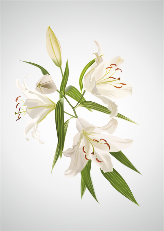 Imagine atasata: monthly_07_2011/post-264-13119657171883.jpg