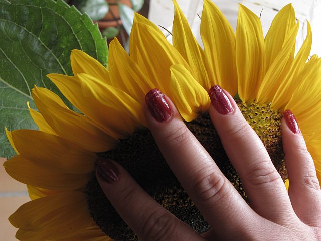 Imagine atasata: monthly_07_2012/post-479-13424347415426.jpg