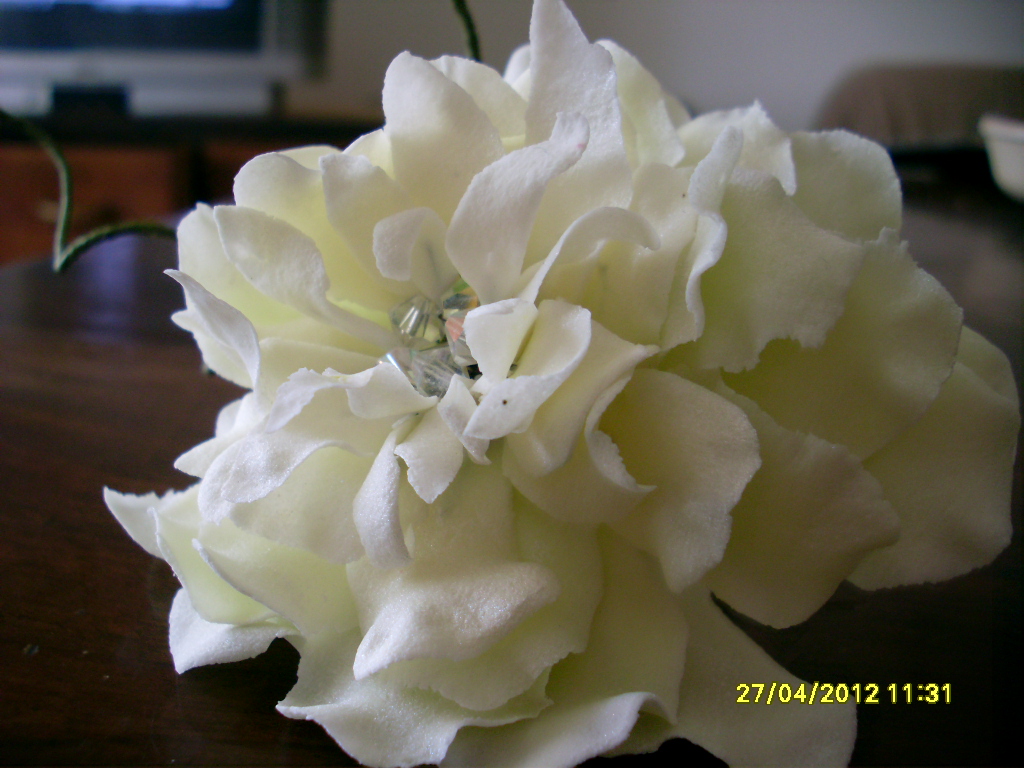 Imagine atasata: monthly_07_2012/post-98-13420388742569.jpg