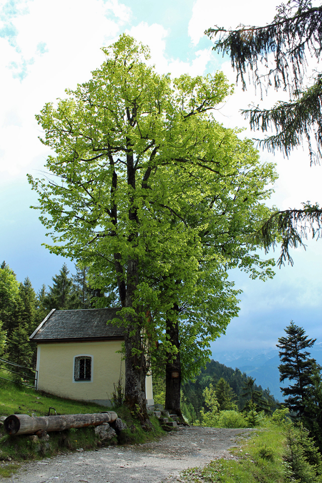 Imagine atasata: monthly_07_2014/post-27-14044453325947.jpg