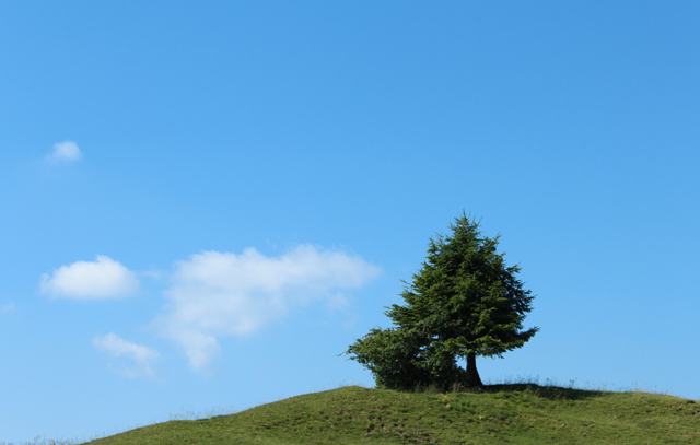Imagine atasata: monthly_07_2014/post-27-14048509258472.jpg