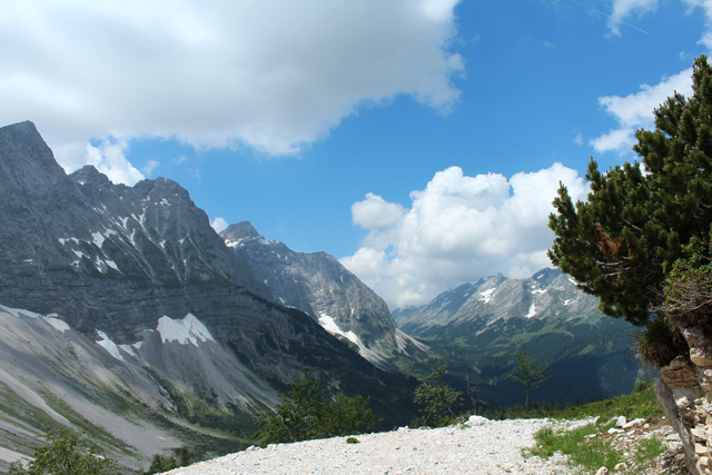 Imagine atasata: monthly_07_2014/post-27-14050518590681.jpg