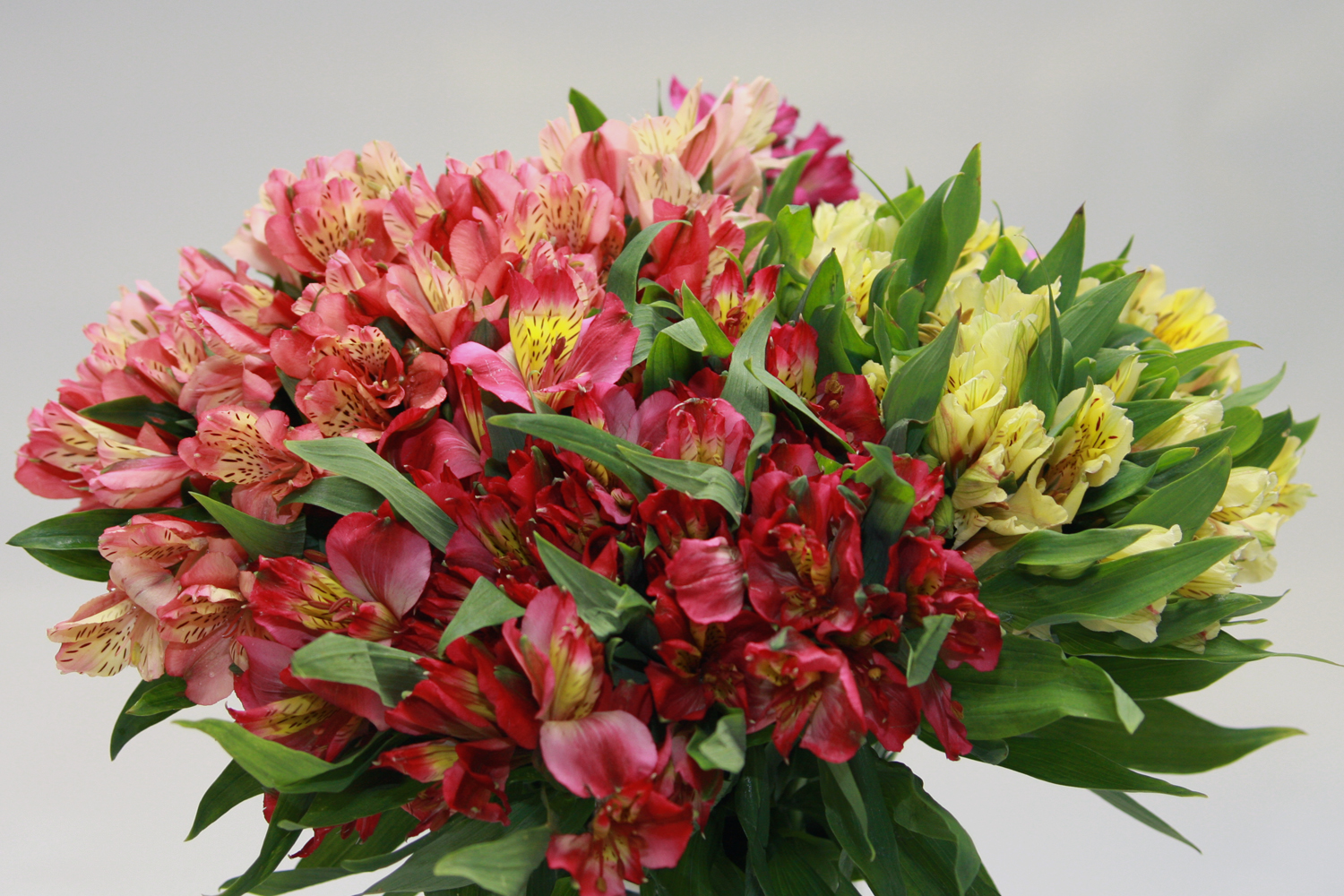 Imagine atasata: monthly_07_2014/post-42-14066214134318.jpg