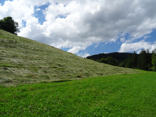 Imagine atasata: monthly_07_2015/post-27-14358904703017.jpg