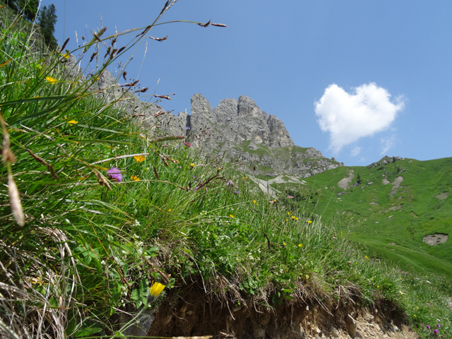 Imagine atasata: monthly_07_2015/post-27-14360717177502.jpg
