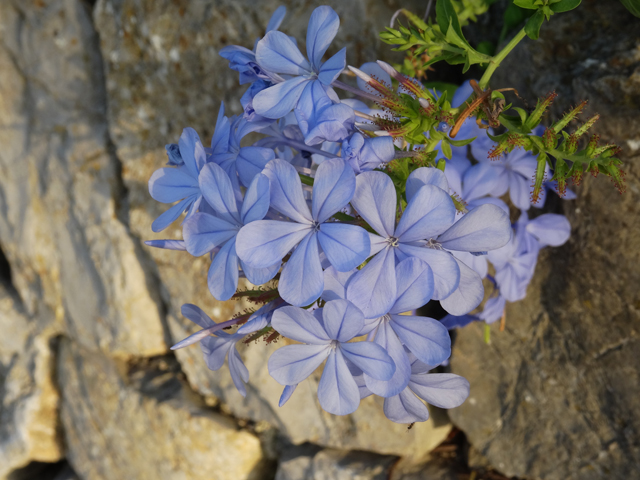 Imagine atasata: monthly_07_2015/post-27-14367643785533.jpg