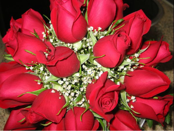 Imagine atasata: monthly_07_2015/post-405-14381648909647.jpg