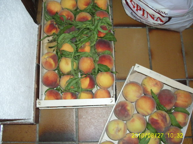 Imagine atasata: monthly_08_2010/post-16-128314392402.jpg