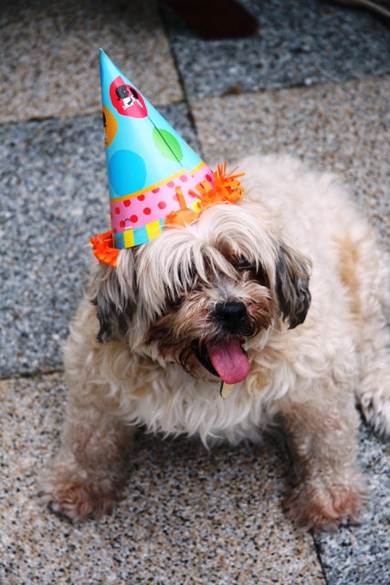 Imagine atasata: monthly_08_2010/post-3-128082760735.jpg