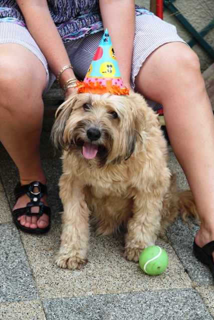 Imagine atasata: monthly_08_2010/post-3-128082762594.jpg