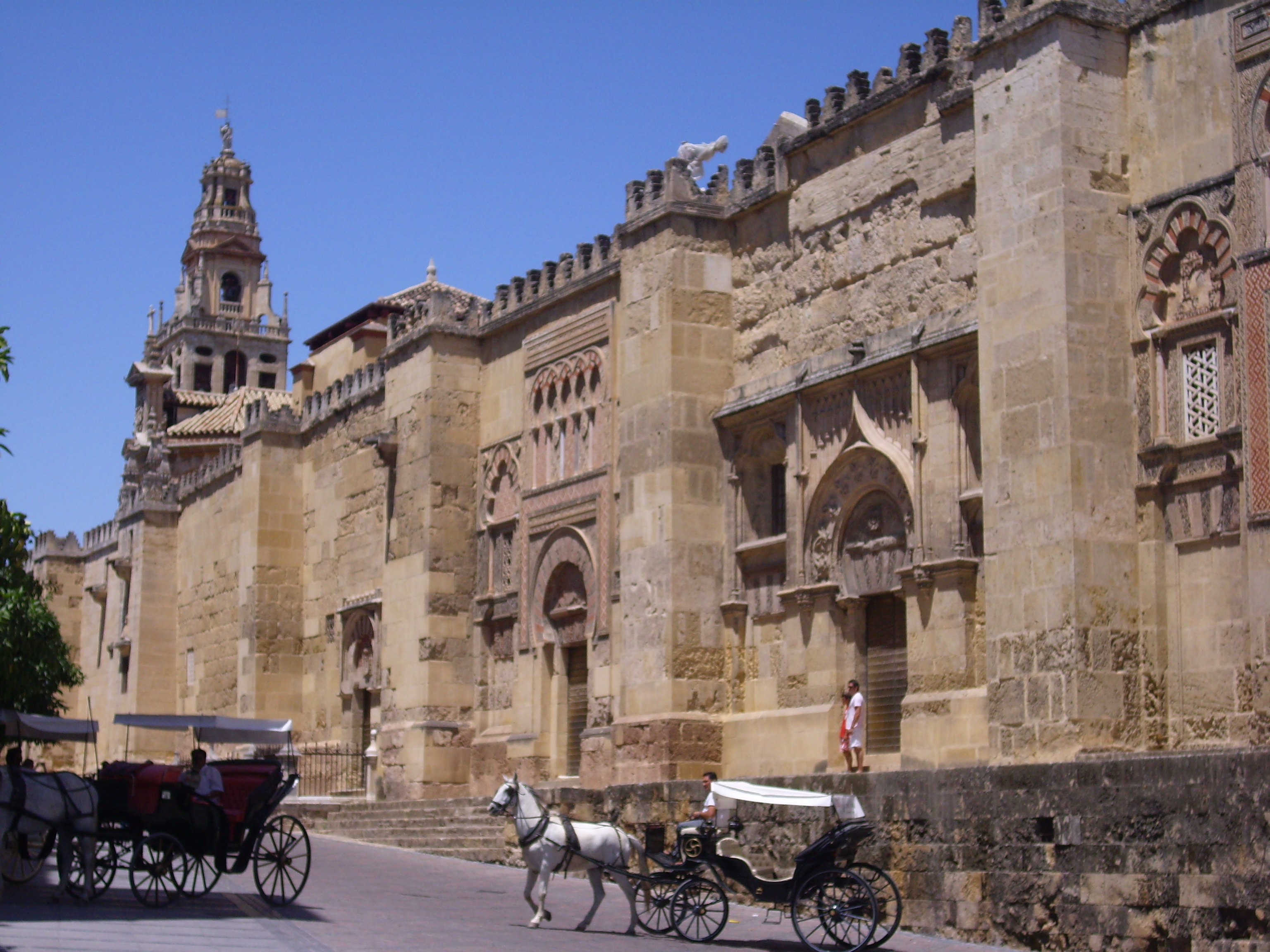 Imagine atasata: monthly_08_2010/post-314-128173119372.jpg