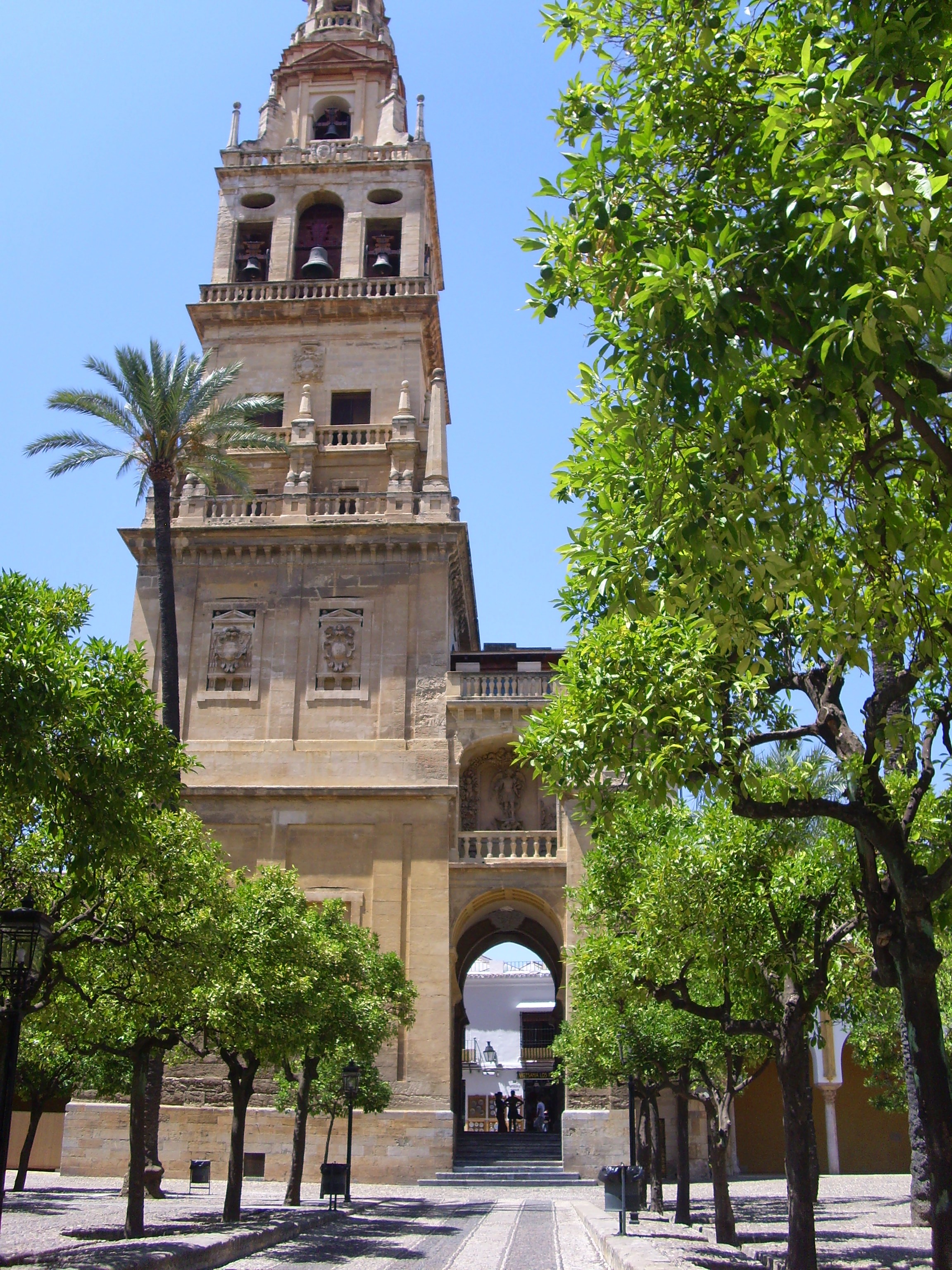 Imagine atasata: monthly_08_2010/post-314-128173168258.jpg