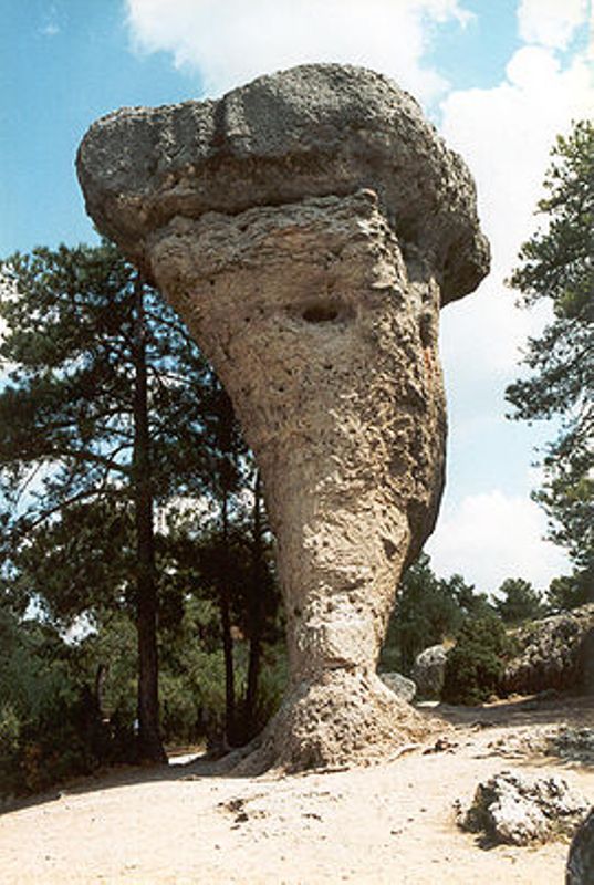 Imagine atasata: monthly_08_2010/post-314-128179178999.jpg