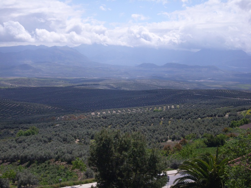 Imagine atasata: monthly_08_2010/post-314-128179809606.jpg