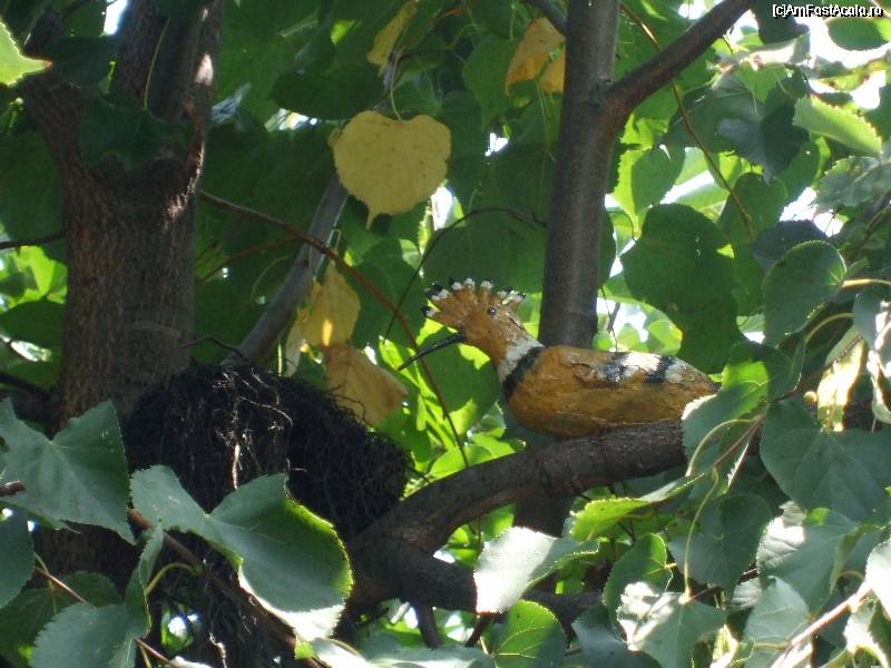 Imagine atasata: monthly_08_2010/post-73-128066773974.jpg