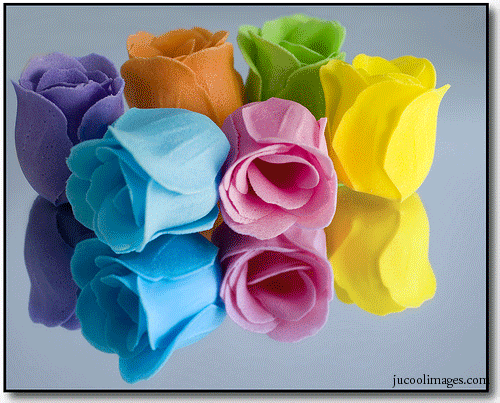 Imagine atasata: monthly_08_2010/post-8-12808525204.gif