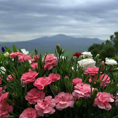 Imagine atasata: monthly_08_2016/post-405-14705053069639.jpg