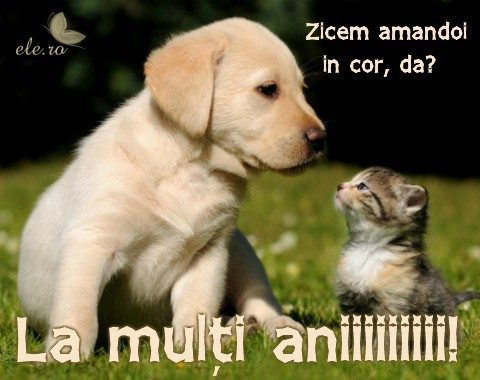 Imagine atasata: monthly_08_2016/post-88-14701271153728.jpg