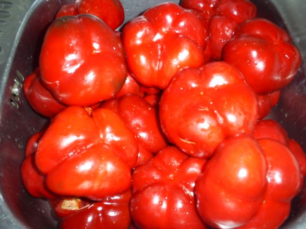 Imagine atasata: monthly_09_2010/post-405-128380627919.jpg