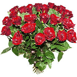 Imagine atasata: monthly_09_2010/post-685-12853293873.gif