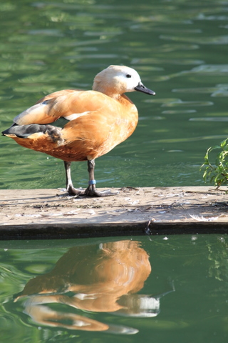 Imagine atasata: monthly_09_2010/post-9-128397206936.jpg