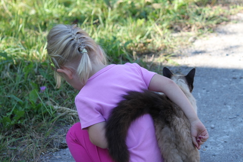 Imagine atasata: monthly_09_2010/post-9-128397335232.jpg