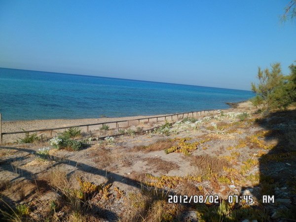 Imagine atasata: monthly_09_2012/post-16-13471946430044.jpg