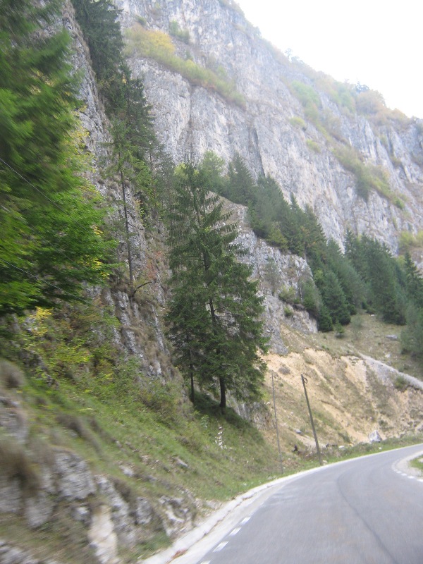 Imagine atasata: monthly_09_2012/post-88-13478824877198.jpg