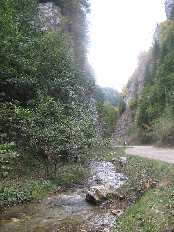 Imagine atasata: monthly_09_2012/post-88-13478825920402.jpg