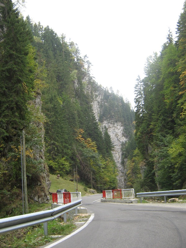 Imagine atasata: monthly_09_2012/post-88-13478826495373.jpg