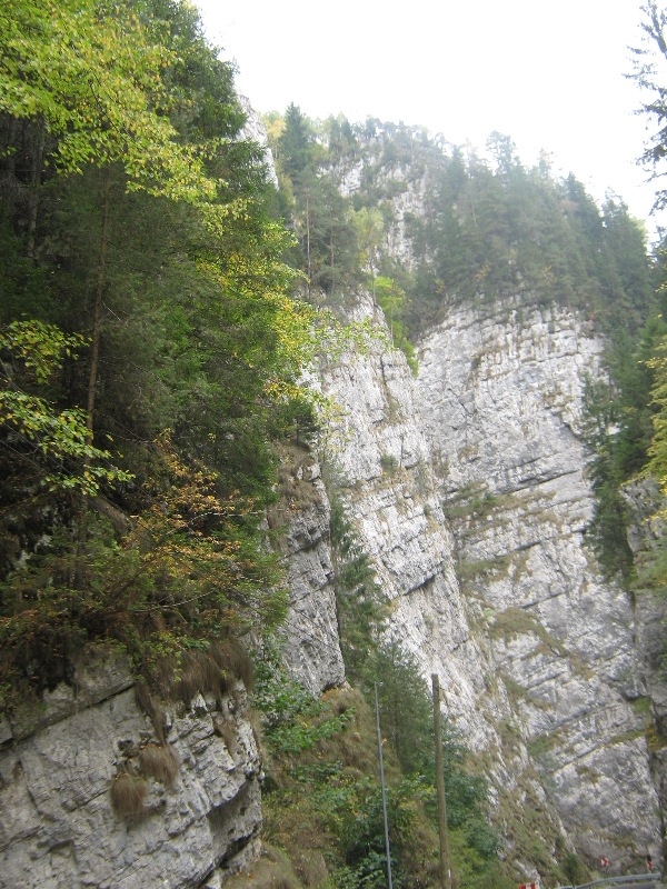 Imagine atasata: monthly_09_2012/post-88-13478826645058.jpg