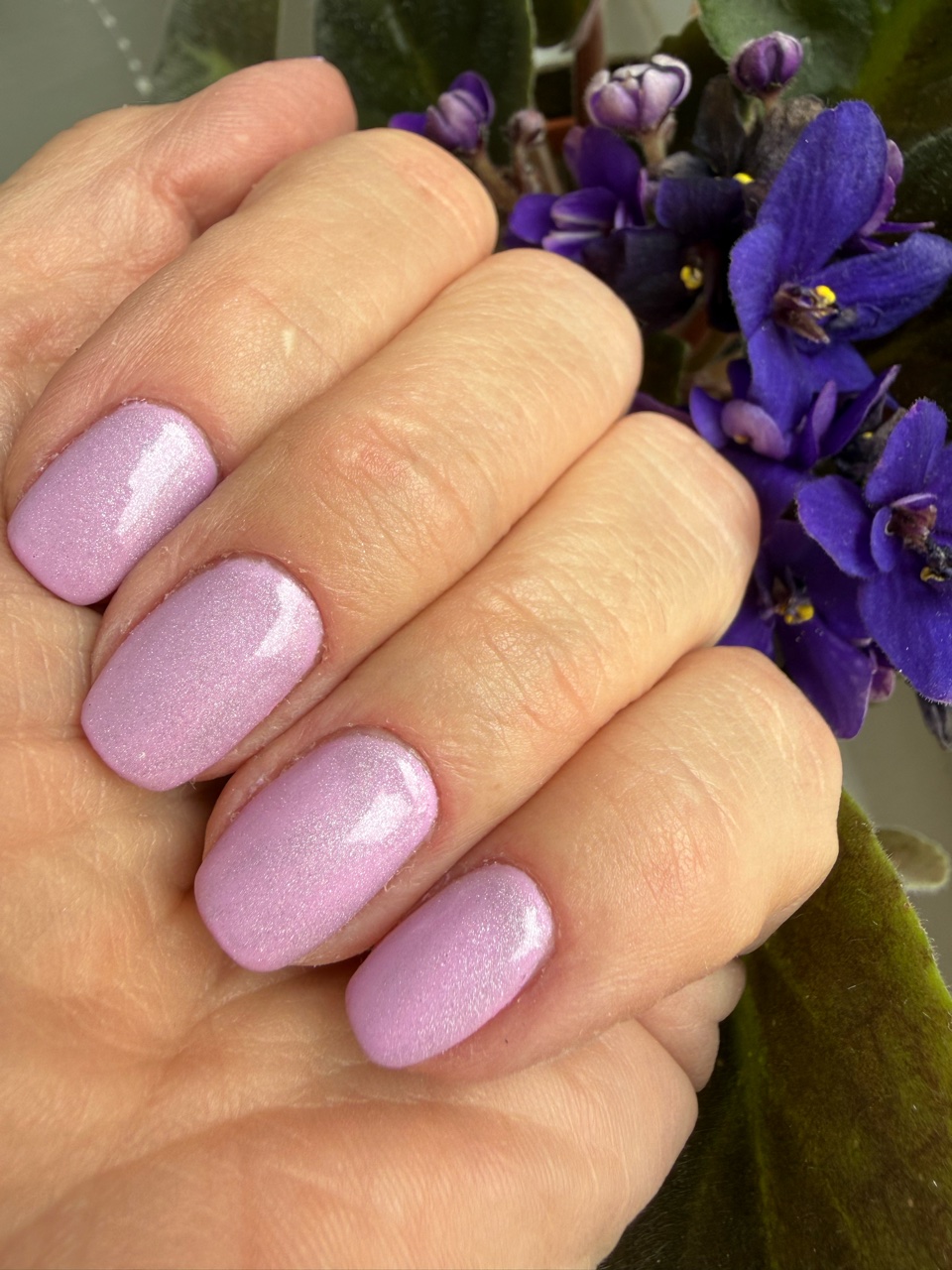 Imagine atasata: monthly_09_2025/post-343-0-20713500-1758795780.jpeg