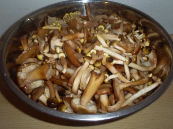 Imagine atasata: monthly_10_2010/post-405-128644529589.jpg
