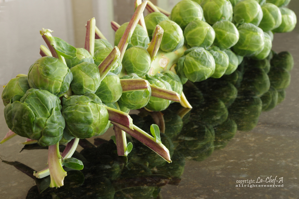 Imagine atasata: monthly_10_2011/post-701-13189477224045.jpg