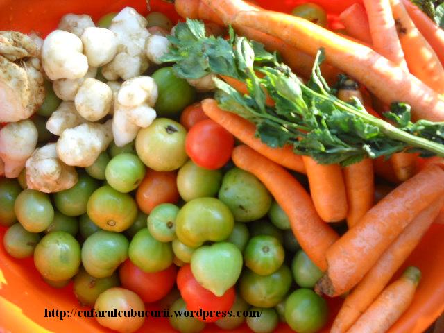 Imagine atasata: monthly_10_2012/post-1400-13511881403478.jpg