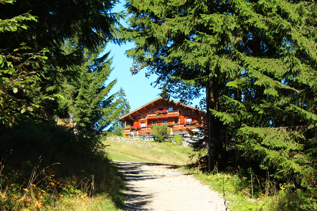 Imagine atasata: monthly_10_2014/post-27-14126582414529.jpg