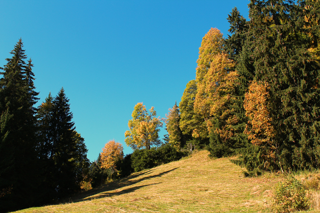 Imagine atasata: monthly_10_2014/post-27-1413657593903.jpg