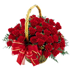 Imagine atasata: monthly_11_2011/post-42-13224053228678.jpg